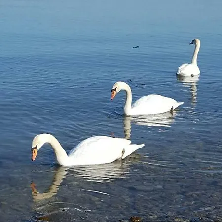 In Sul Lago Trasimeno Villa Castiglione del Lago