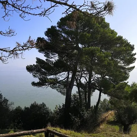 In Sul Lago Trasimeno Castiglione del Lago