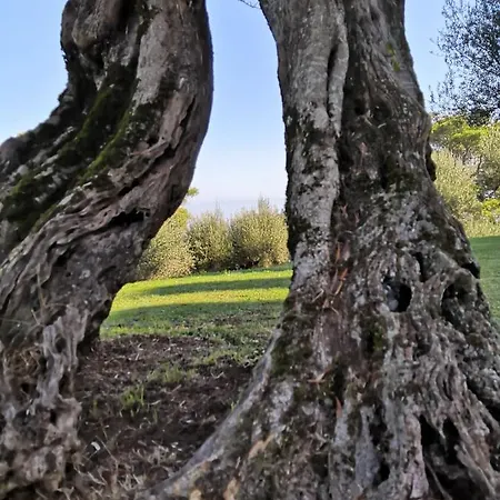 In Sul Lago Trasimeno